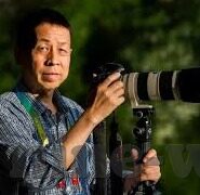 游戏足球比分-游戏足球比分，虚拟绿茵场上的数字狂欢与现实启示