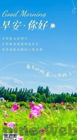 足球比分直播丶一-足球比分直播，数字背后的热血与激情，一场永不落幕的盛宴